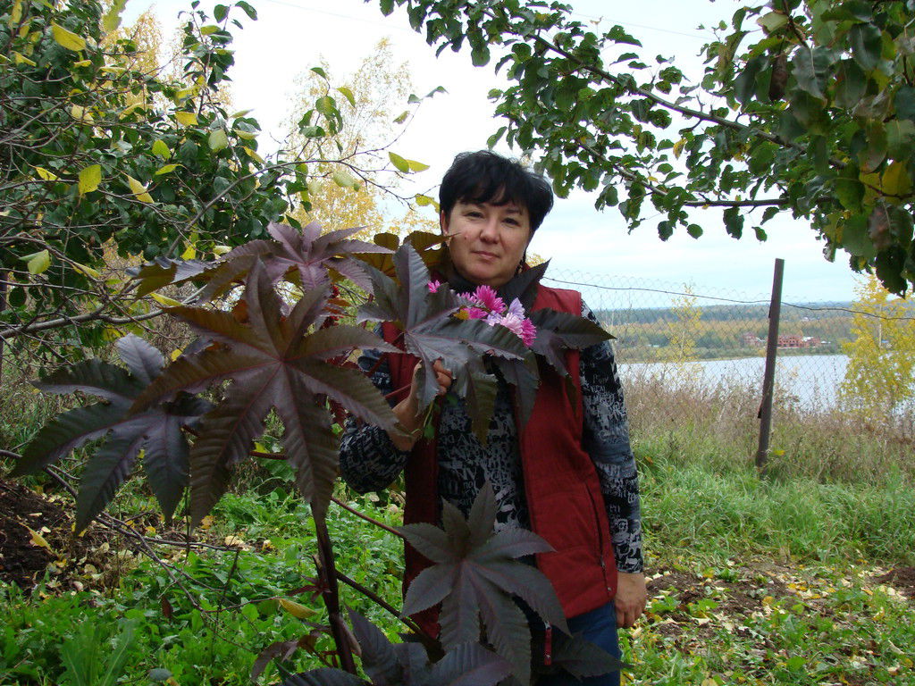 Марина Куликова