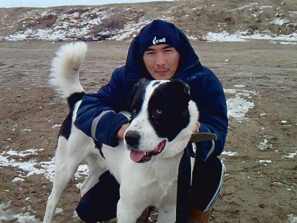 Тимур Кадесов