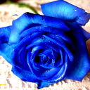 Айнур Алимбекова