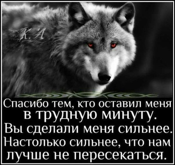 Татьяна Швадченко