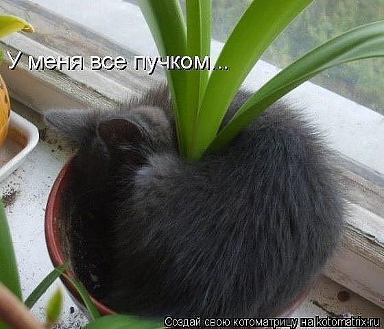 Евгения Романова