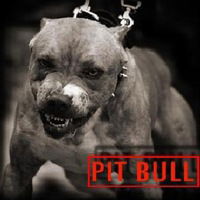 Александр Молодов