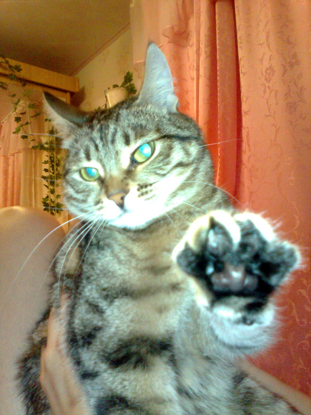 Анатолий Поляков