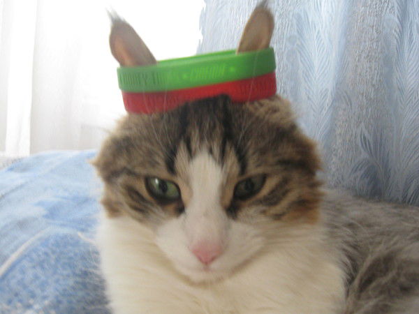 Кира Морозова