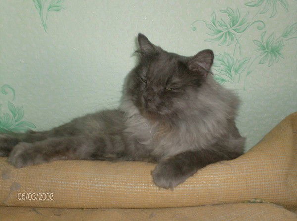 Юлия Марчишина (Егорова)