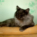 Юлия Марчишина (Егорова)