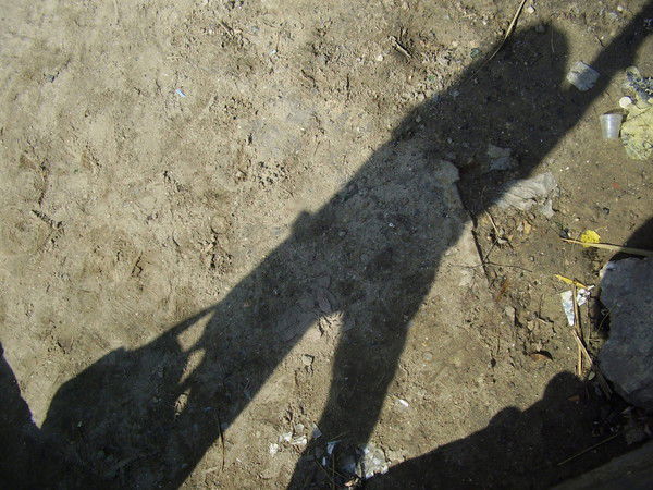 Анастасия Гребенник