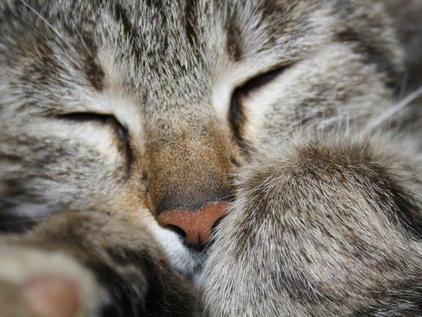 Славик Крупин