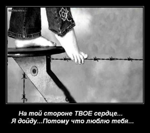 Arnat Таеквондо