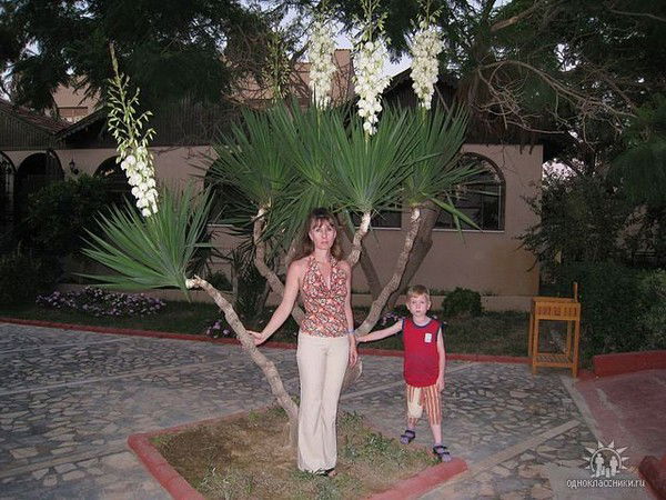 Ольга Мешкова