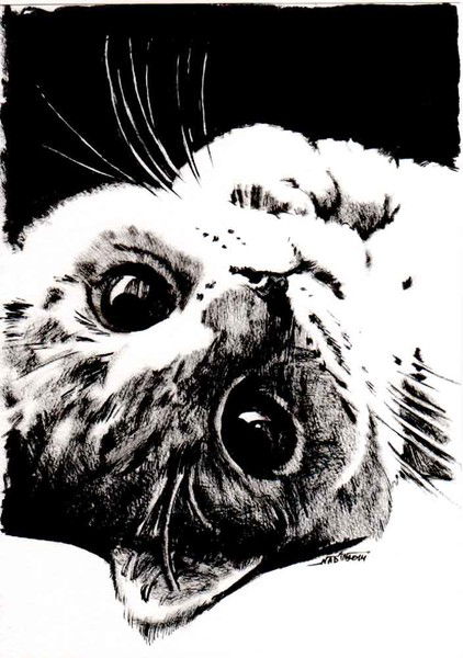 Надежда Семенец