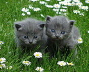 Жанна Кузнецова