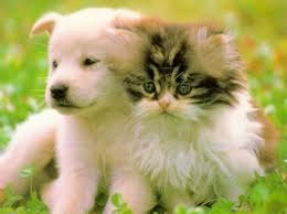 Лариса Брусникина