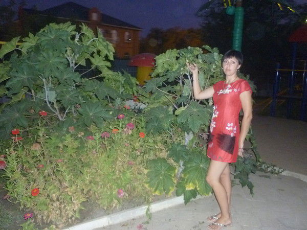 Виктория Шмакова(Сорокач)