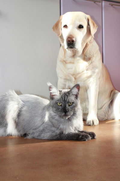 Ольга Бушина