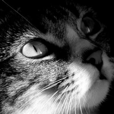 Ксения Иванова