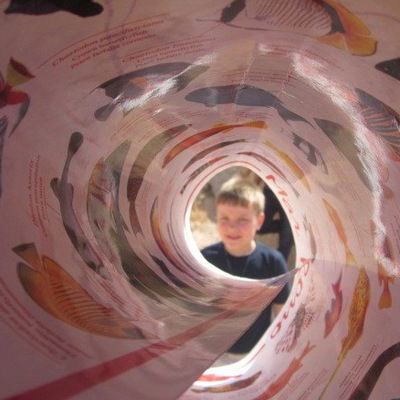 Семён Антонов