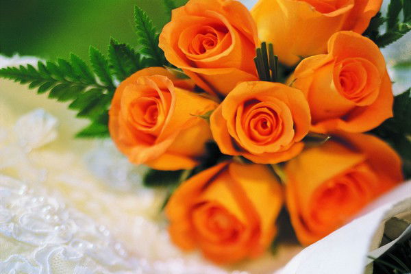 Анастасия Бичевина