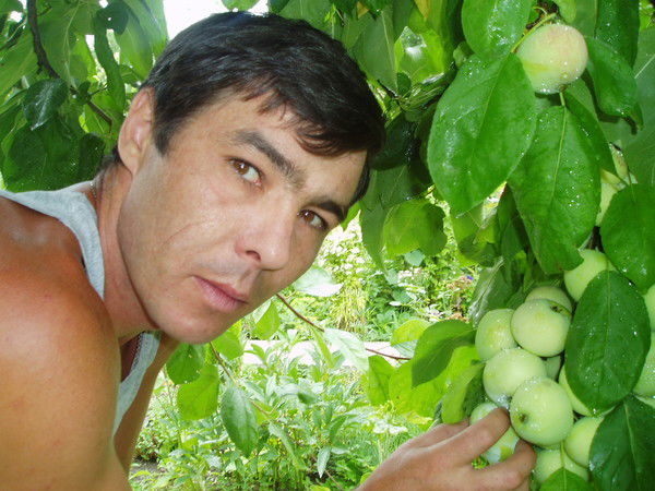 Владимир Гладких