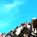 Николай Мыльников