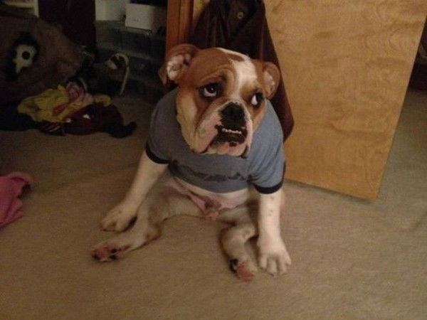 Станислав Панягин