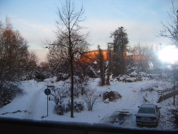 Люда Грюнвальд