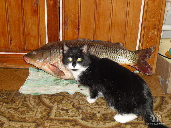 Андреас Хоффманн