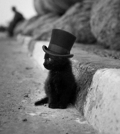 Елена Гурбич