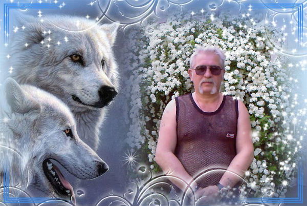 Александр Пархоменко