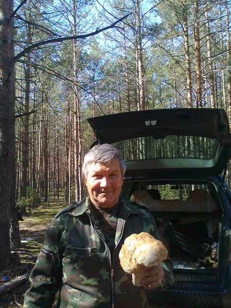 Шамиль Садыков