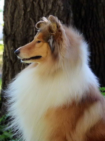 Светлана Суслеганова