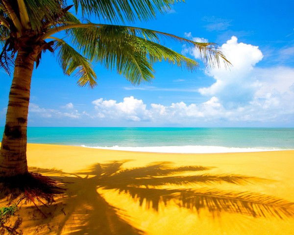 Владислав Гусаров