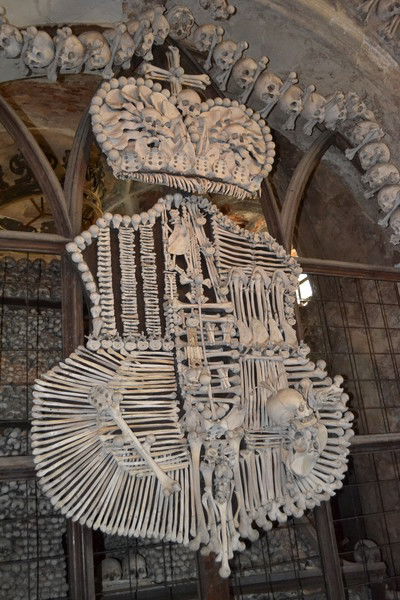 Олеся Калашник(Коцоурэк)