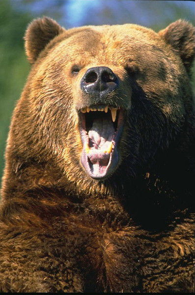 Иван Громов