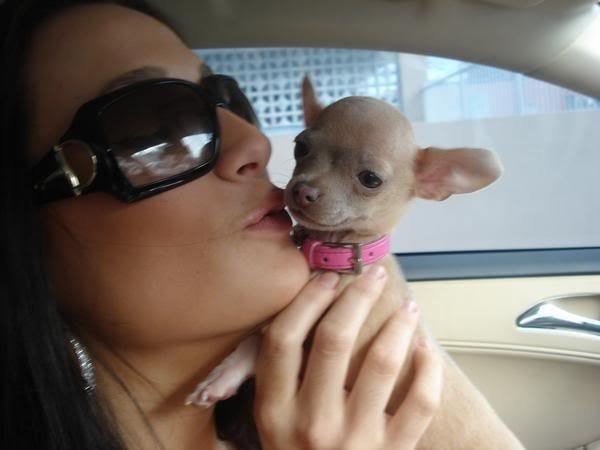 Дарья Филимонова