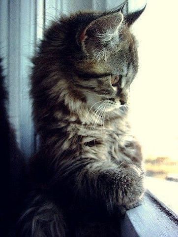 Татьяна * Kisa *