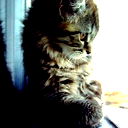Татьяна * Kisa *