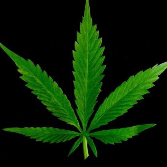 Андрей Католиков