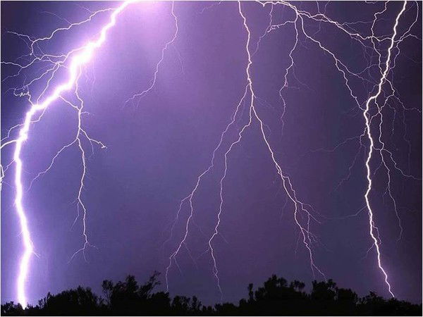 Женя Максименко