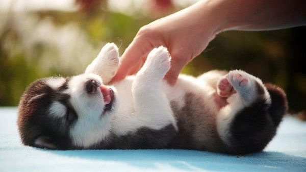 Амина Бектурганова