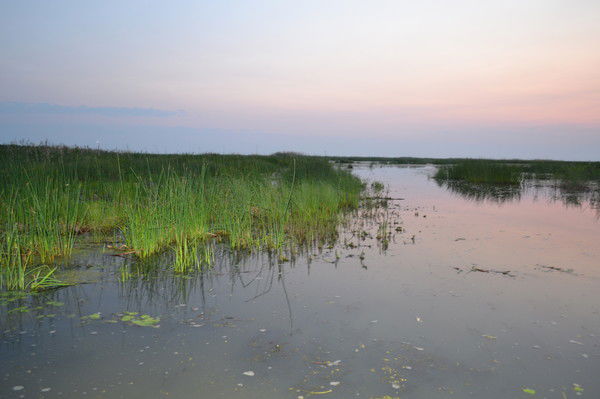 Ирина Якушова