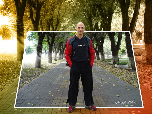 Алексей Голиков