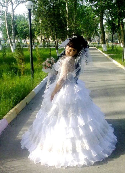 Дикая Кошка