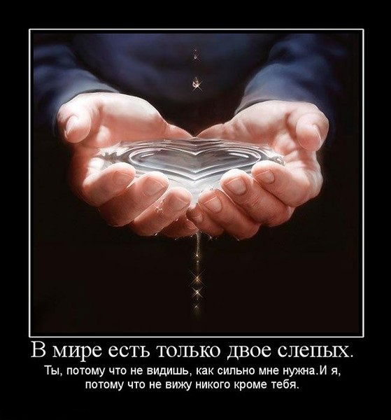 Василий Зайцев