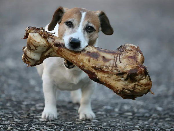 Джордж Склифосовский