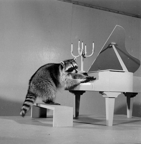 Александр Двуреченский