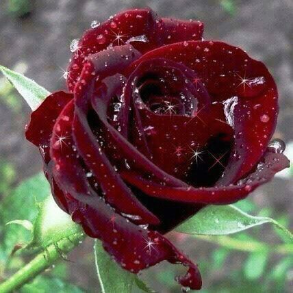 Канзада Бахавадинова