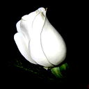 Аека Абдикерим