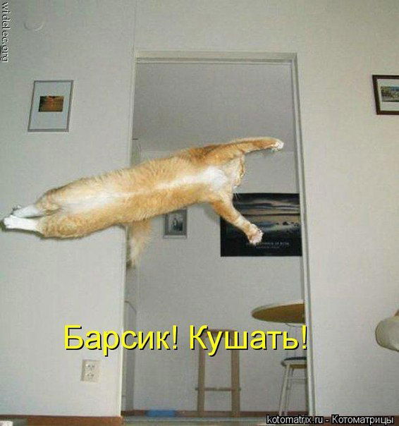 Кирилл Неважно