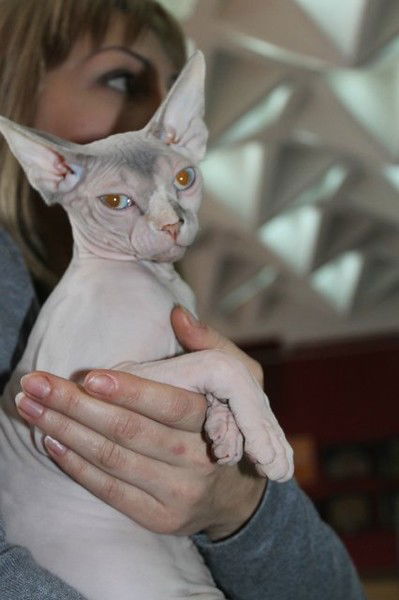 Олеся Лешан